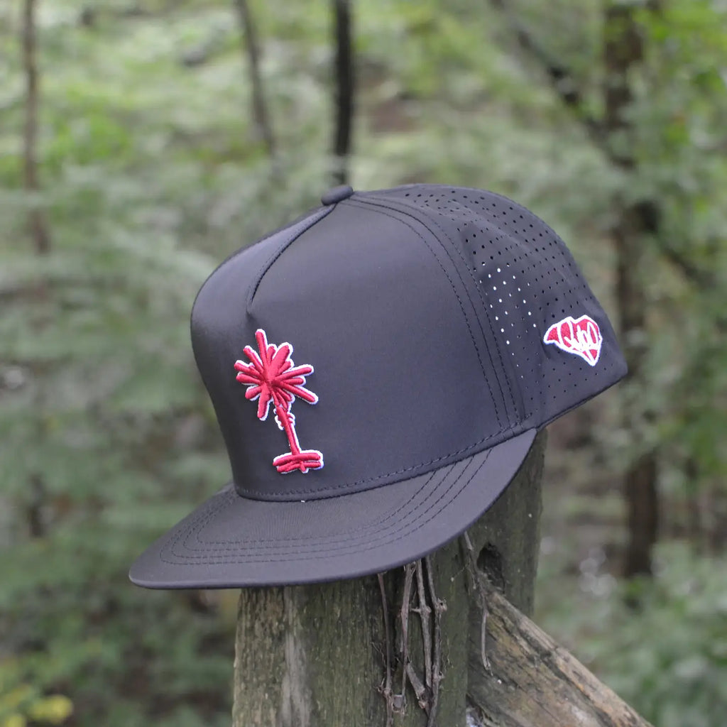 South Carolina Football Black Palmetto Snapback Hat