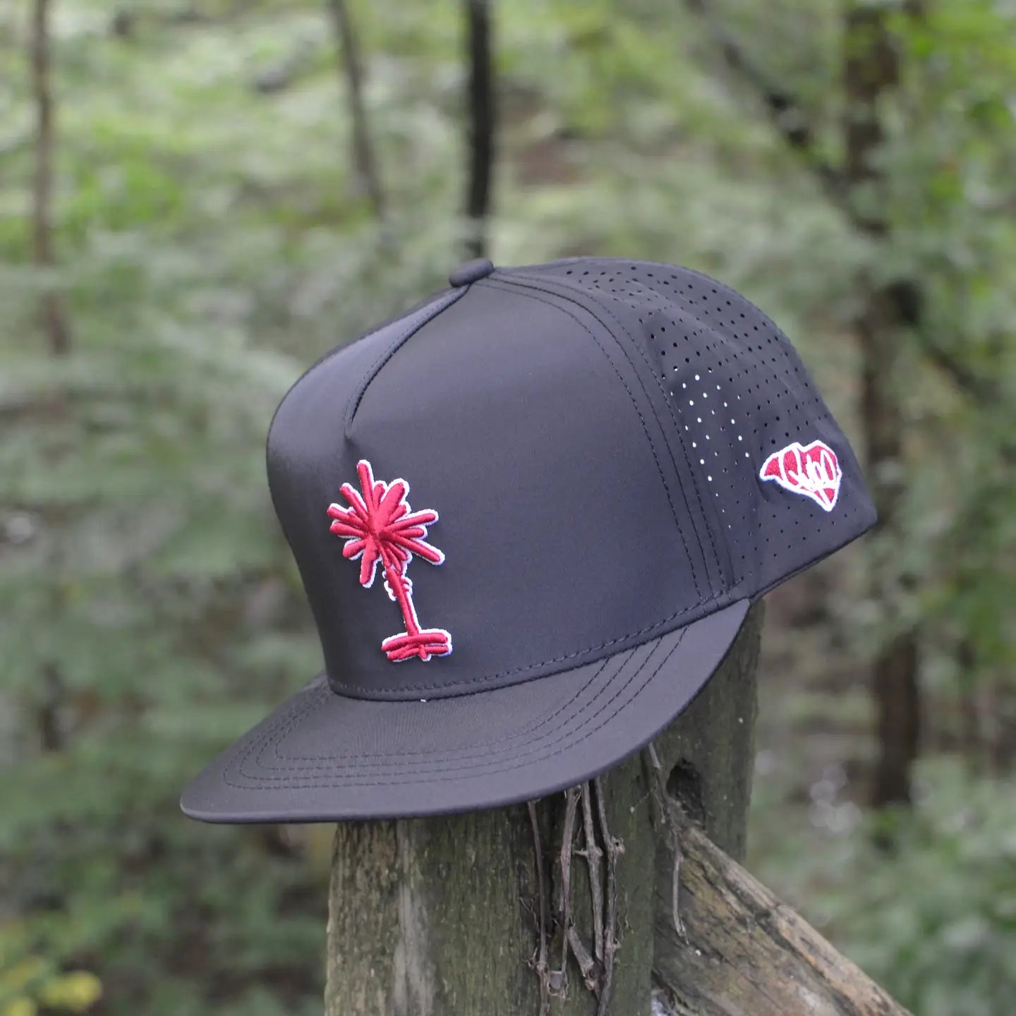 South Carolina Football Black Palmetto Snapback Hat