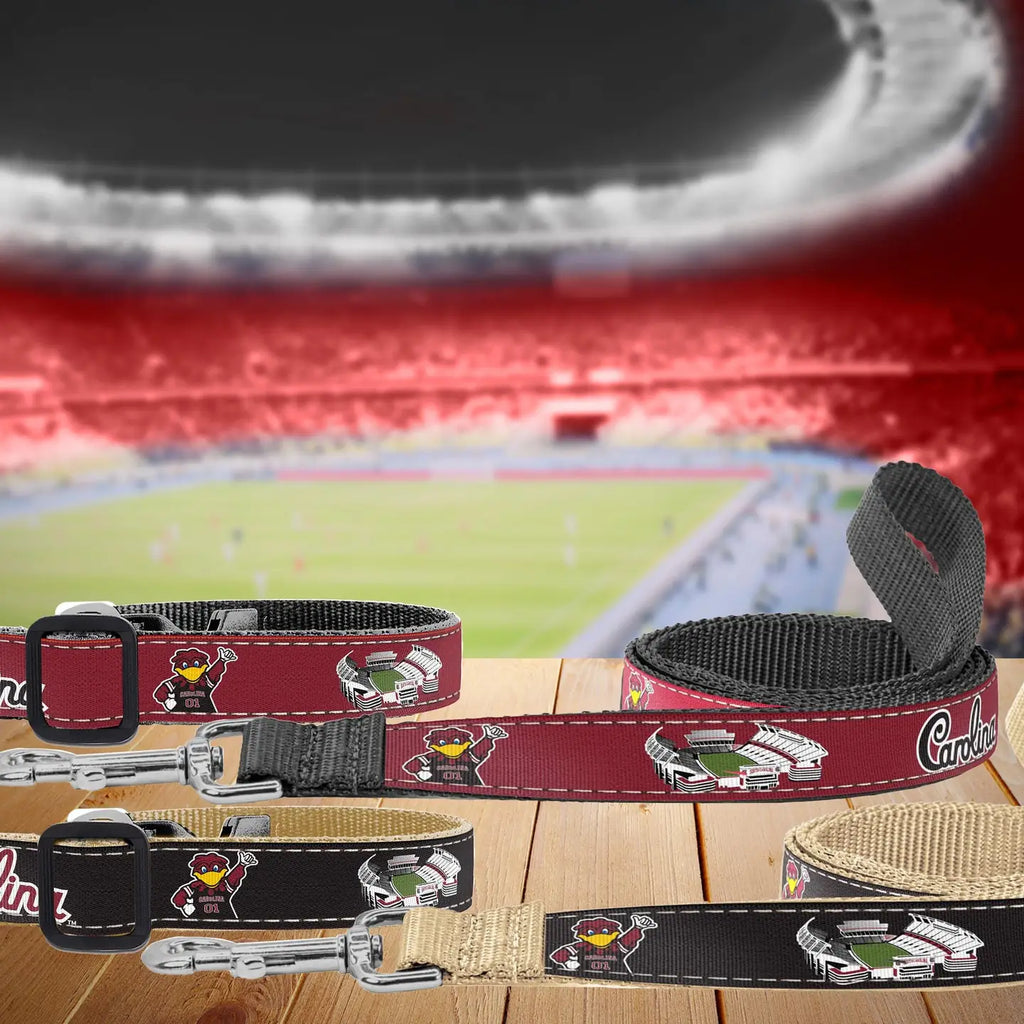 Gamecock Collegiate Woven Ribbon Dog Collar.