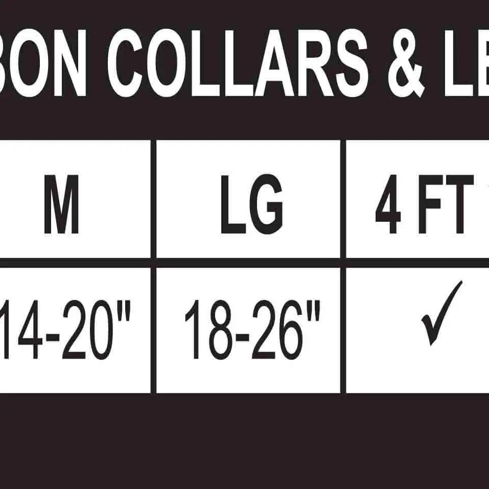 Gamecock Collegiate Woven Ribbon Dog Collar.