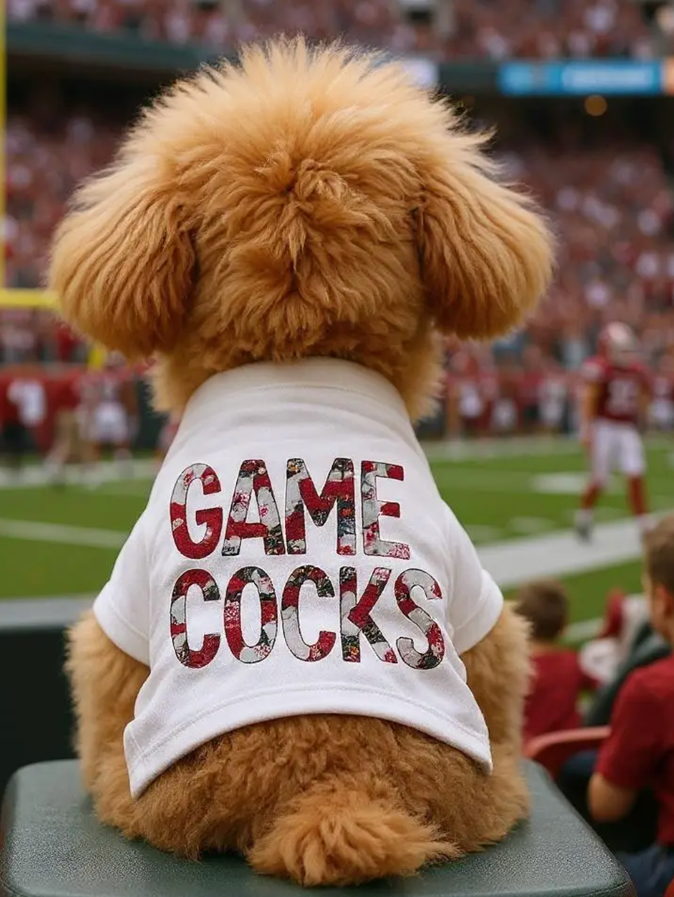 Gamecock Patchwork Dog T-Shirt