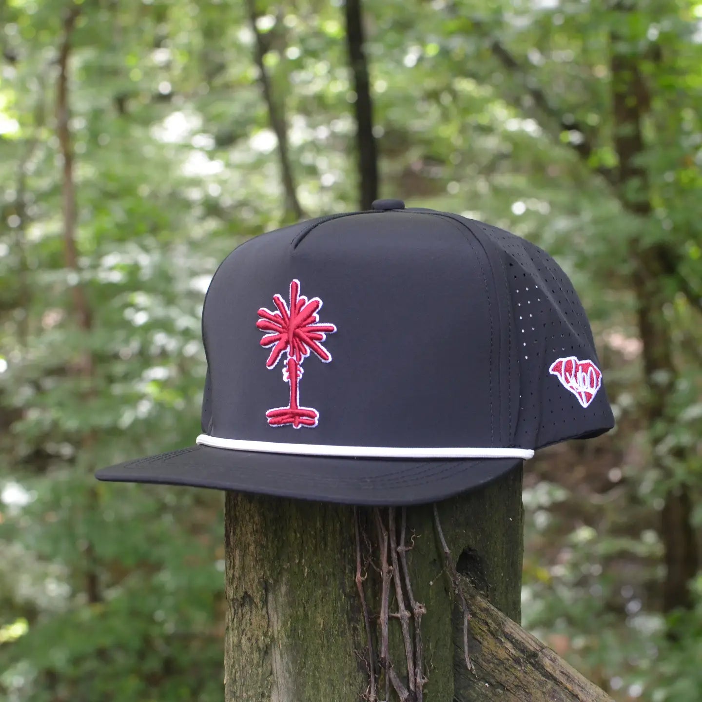 South Carolina Football Black Palmetto Snapback Hat